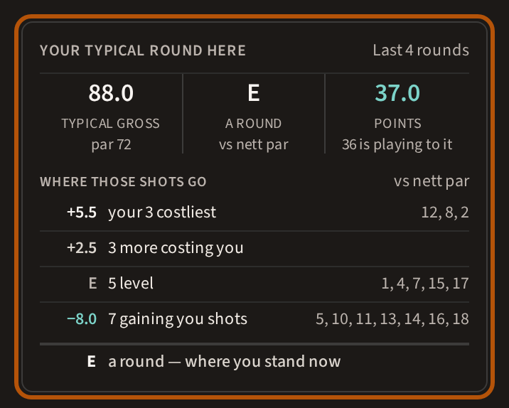The Your typical round here card: typical gross, the round against nett par, and Stableford points, then where those shots go — your three costliest holes, the others costing you, the holes you play level, and the ones gaining you shots, with hole numbers beside all but the others costing you.