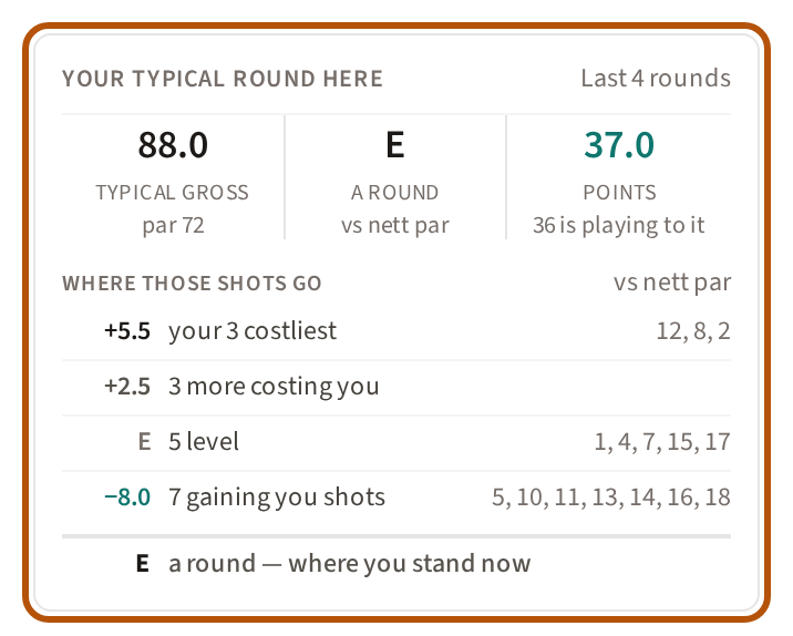 The Your typical round here card: typical gross, the round against nett par, and Stableford points, then where those shots go — your three costliest holes, the others costing you, the holes you play level, and the ones gaining you shots, with hole numbers beside all but the others costing you.