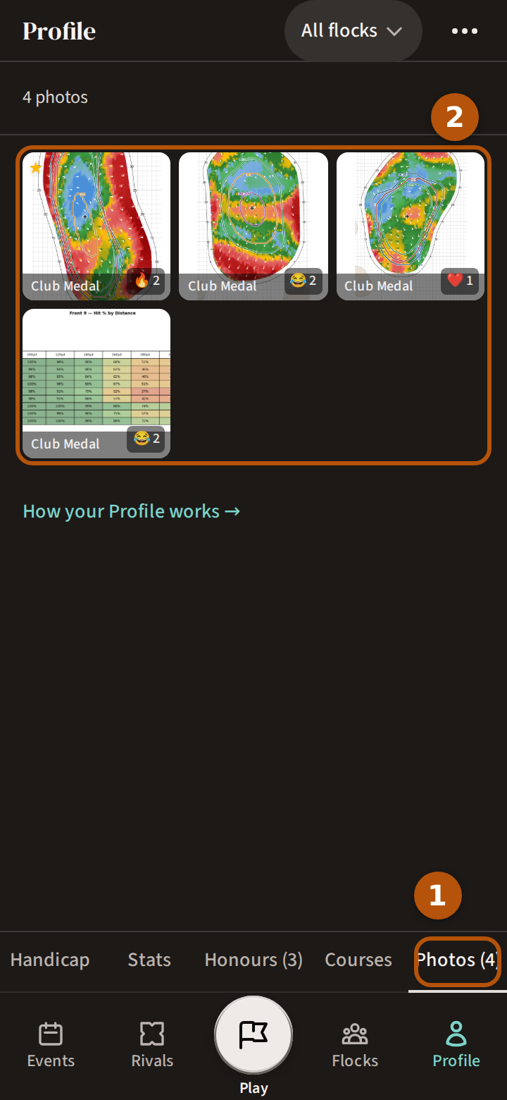 Profile's Photos, ringed among its sections and numbered 1, and the photos you are tagged in, each with its event's name, ringed and numbered 2.