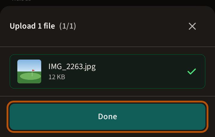 The upload panel after Upload: a tick beside the photo, and the Done button at the foot, ringed.