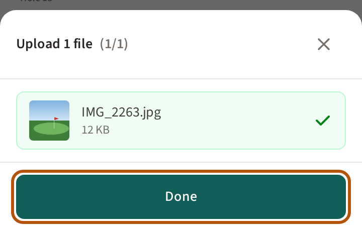 The upload panel after Upload: a tick beside the photo, and the Done button at the foot, ringed.