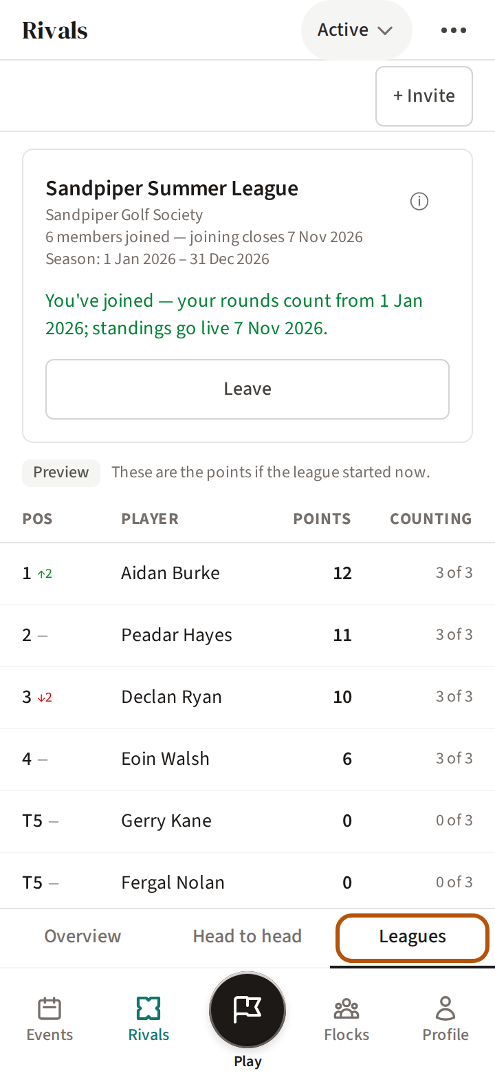 The Leagues section of Rivals, ringed among the sections: the league's card with its season and your place in it, and the table beneath.