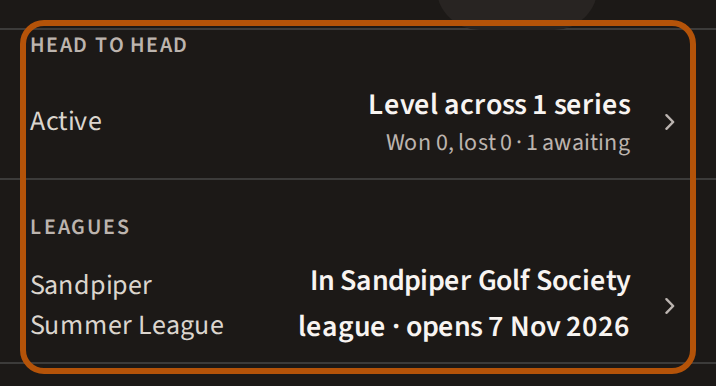 The Overview: a Head to head row with your standing across your rivalries and your wins and losses, then a row for each of your leagues.