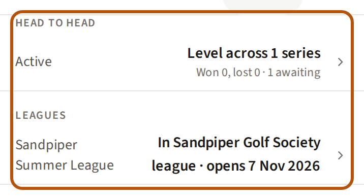 The Overview: a Head to head row with your standing across your rivalries and your wins and losses, then a row for each of your leagues.
