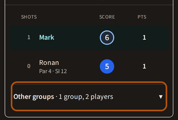The card on a big roaming round: your own group's scores, and beneath them the Other groups row, ringed, saying how many groups and players it holds.