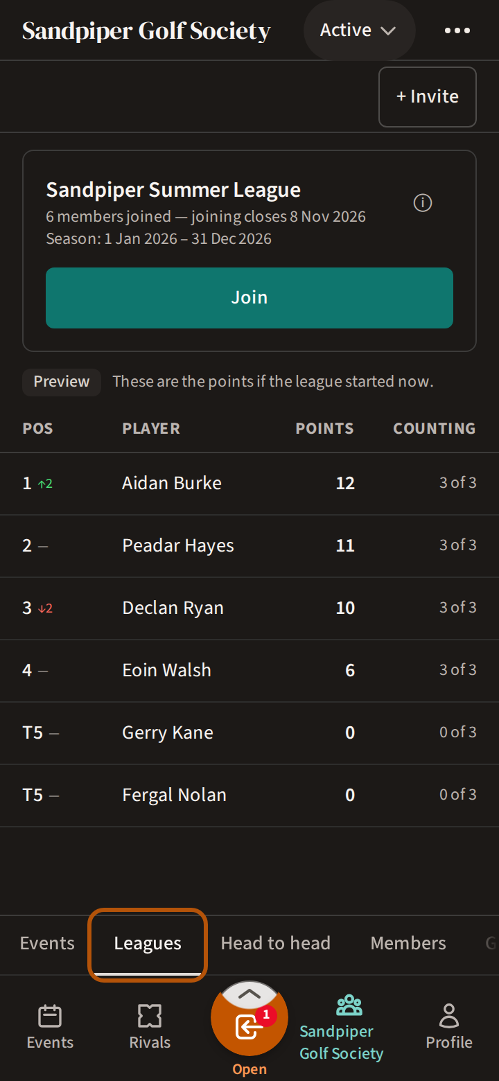 The flock's Leagues section, its name ringed among the sections: the league's card and its table.