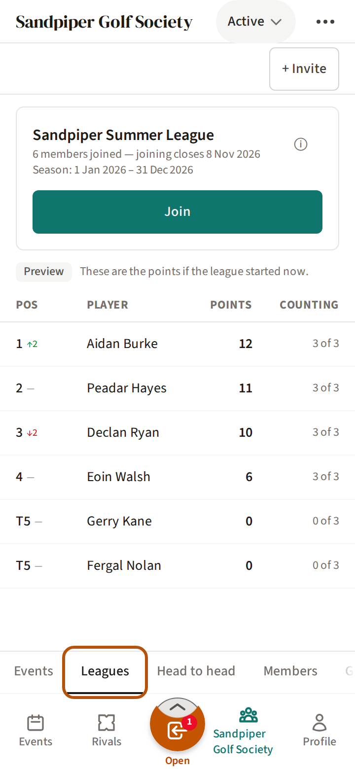 The flock's Leagues section, its name ringed among the sections: the league's card and its table.